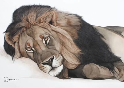 Original Animal Painting by Dominique Janssens - Deau | Photorealism Art on Paper | Mufasa - African Lion