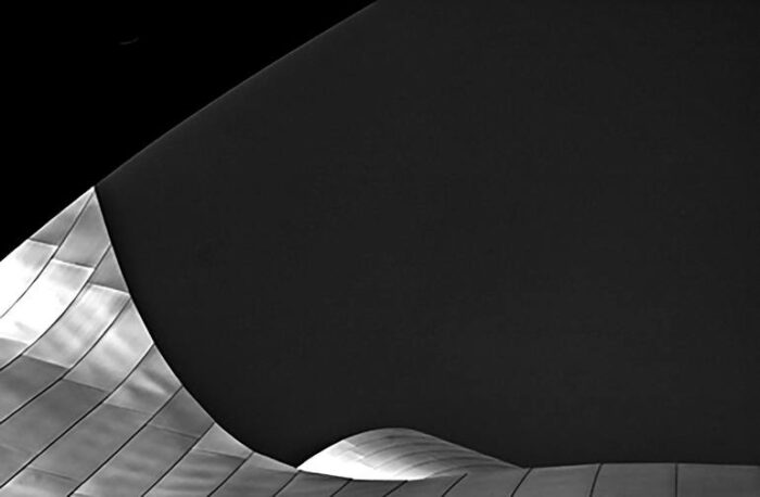 Original Architecture Photography by Kami Zargham Mcadam | Fine Art Art on Paper | Shape of Disney hall - Limited Edition 1 of 20