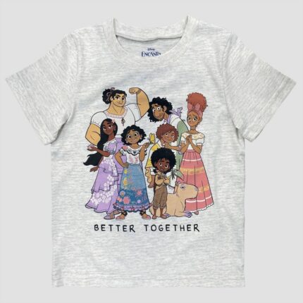 Toddler Girls' Disney Encanto Solid T-Shirt - Heather Gray 12M