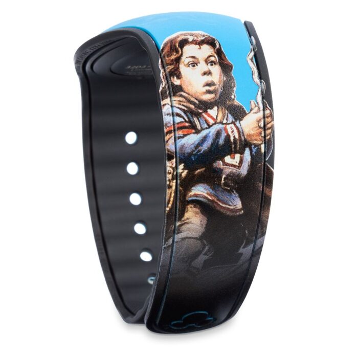 Willow MagicBand 2 Walt Disney World